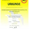 22 Bodensee 2004 V1
