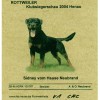 27 Ost Swiss Klubiegerin 20